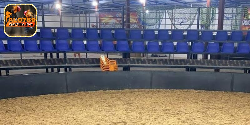 Trường gà Savan - Thông tin cụ thể về trại huấn luyện gà 6 Đa dạng hình thức tham gia chọi gà